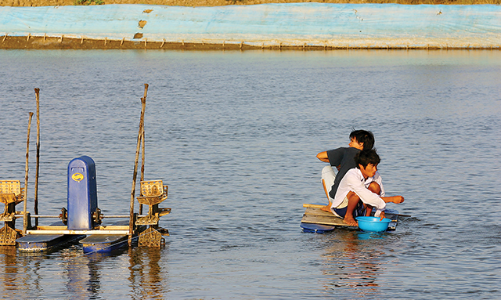 Cần trợ lực để phục hồi bền vững doanh nghiệp Đồng bằng sông Cửu Long 