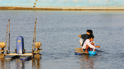 Mekong Delta enterprises in need of assistance