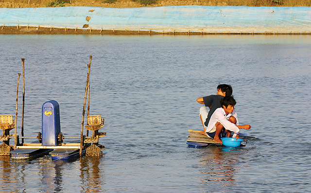 Mekong Delta enterprises in need of assistance