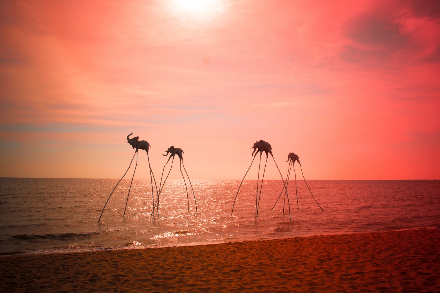 Ho&agrave;ng h&ocirc;n tại B&atilde;i Trường.