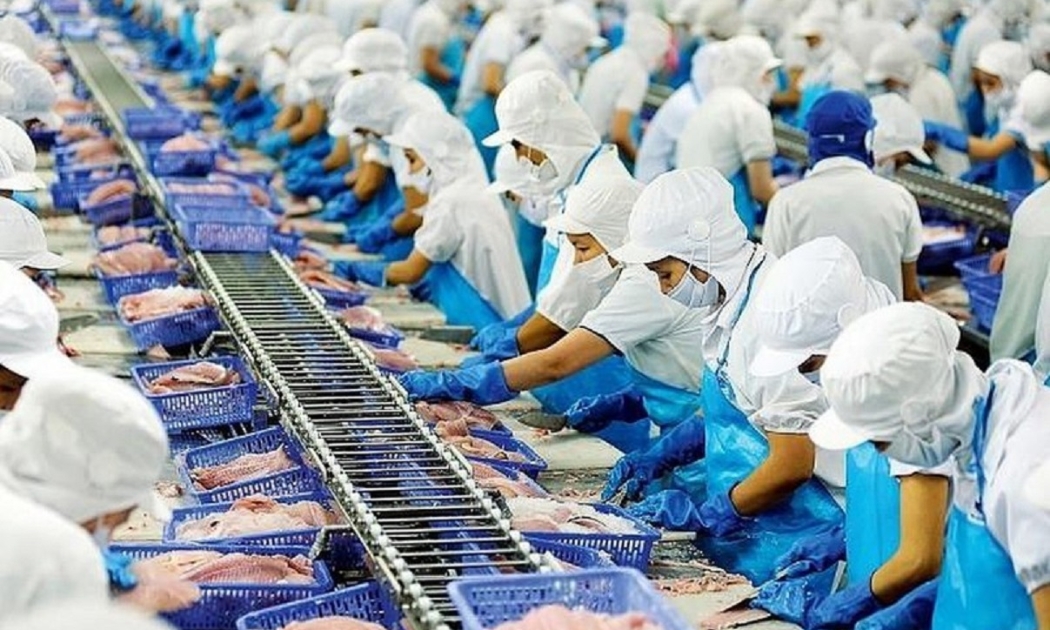 Xuất khẩu thuỷ sản sang Đức tăng 15,5% sau 1 năm thực thi EVFTA.
