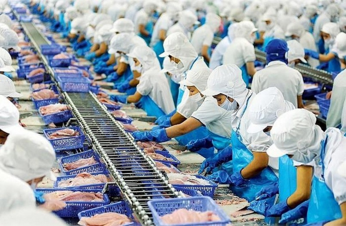 Xuất khẩu thuỷ sản sang Đức tăng 15,5% sau 1 năm thực thi EVFTA.