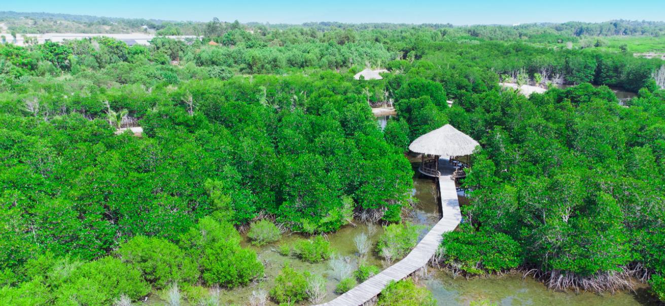 Wyndham Grand Lagoona Bình Châu được phát triển theo hướng thuận tự nhiên. (Ảnh chụp thực tế. Nguồn: Đạt Gia).