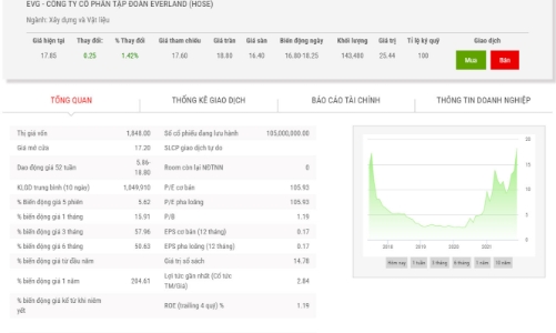 Công ty nói gì khi Chủ tịch kiêm Tổng giám đốc Everland bị phạt tiền?