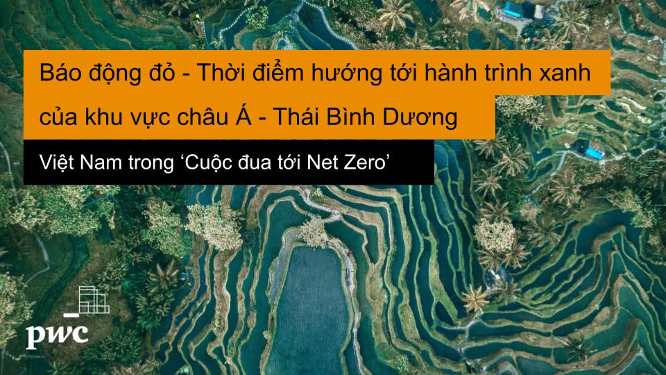 Báo cáo của PwC.