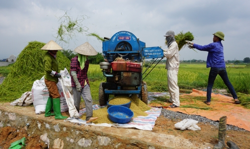 Đề xuất nông dân, ngư dân được cơ cấu thời hạn trả nợ vẫn được cấp bù lãi suất