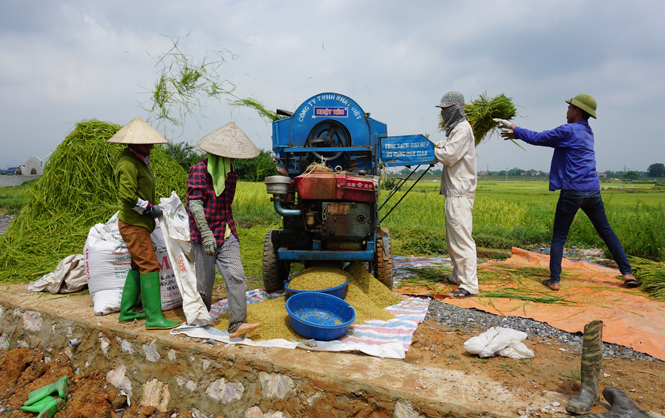 Nông dân, ngư dân được cơ cấu thời hạn trả nợ vẫn được hưởng chính sách cấp bù lãi suất.