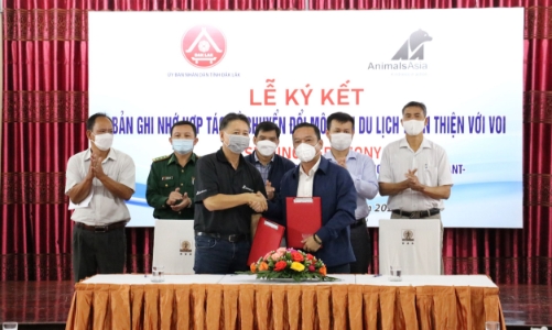 Triển khai mô hình du lịch sinh thái thân thiện với voi tại Đắk Lắk