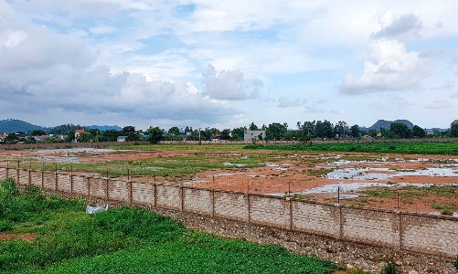 Thanh Hóa: 79 dự án không sử dụng đất, chậm tiến độ sử dụng bị thanh tra