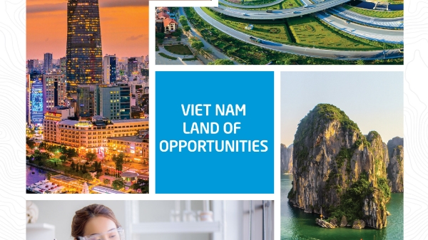 “Đất lành chim đậu”