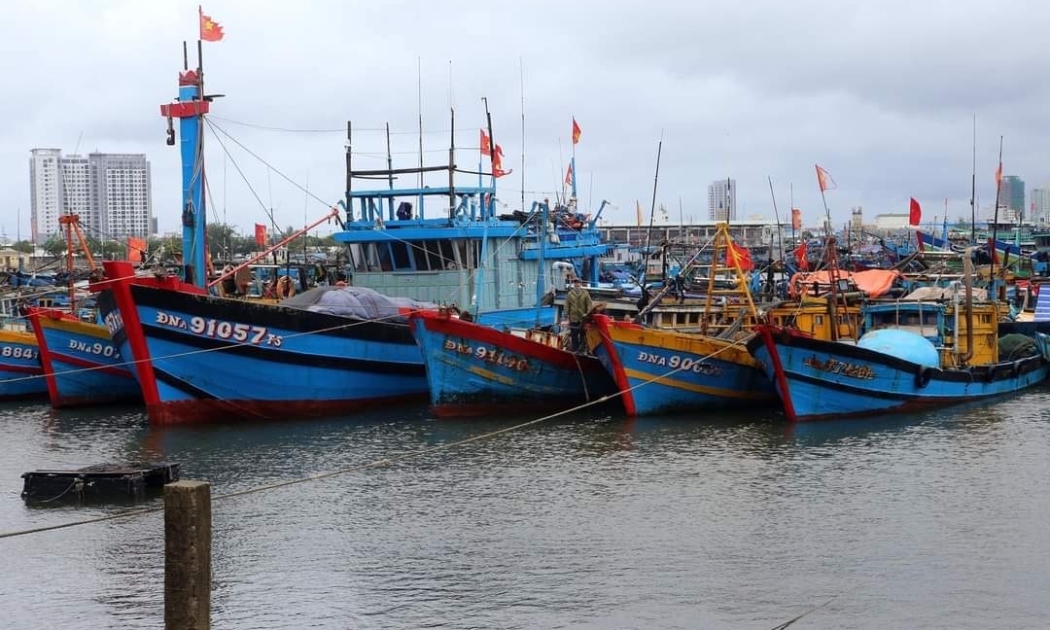 Tàu cá tránh bão số 9 tại Âu thuyền Thọ Quang.