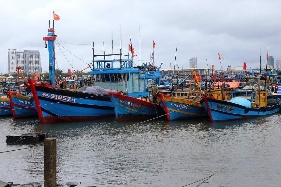  Tàu cá tránh bão số 9 tại Âu thuyền Thọ Quang.