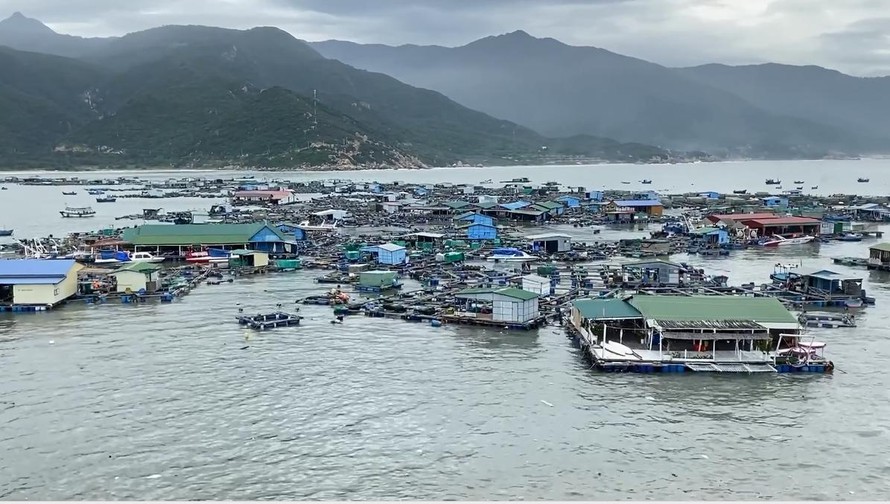 Ngư dân nuôi tôm hùm ở đảo Bình Hưng gặp thiệt hại nặng vì sóng lớn 