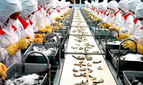 Thuỷ sản xuất khẩu sang Âu Mỹ nhọc nhằn vì các loại phí logistics tăng đột biến