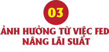 VnEconomy