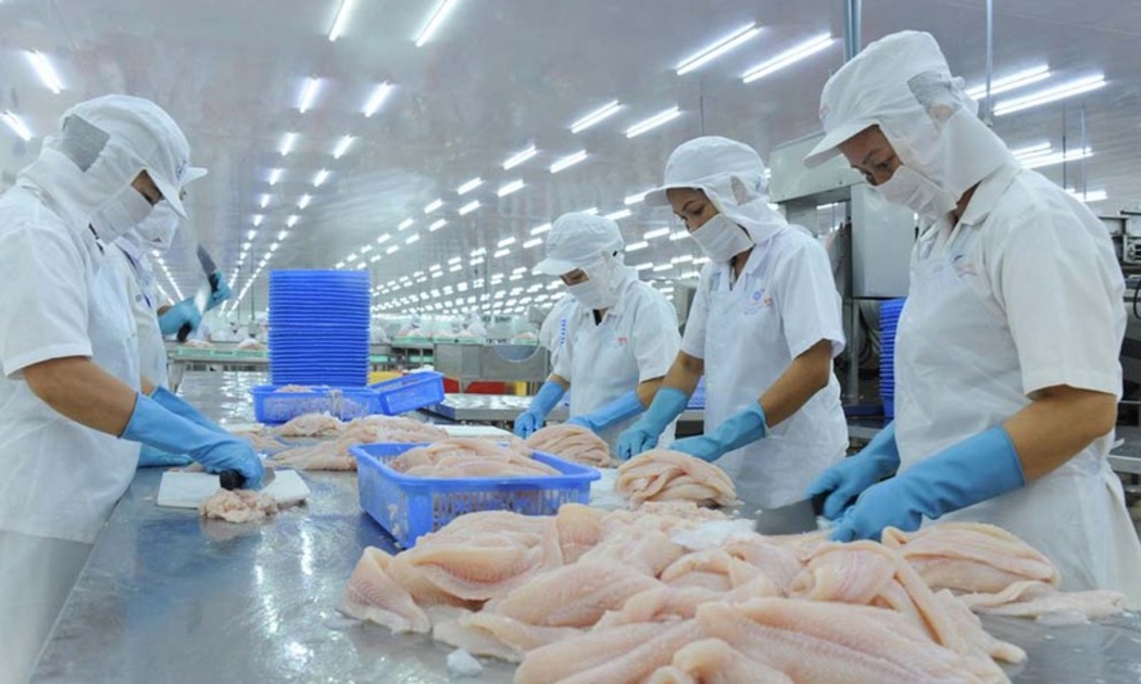 Xuất khẩu thủy sản của Việt Nam đang là điểm sáng của ngành kinh tế