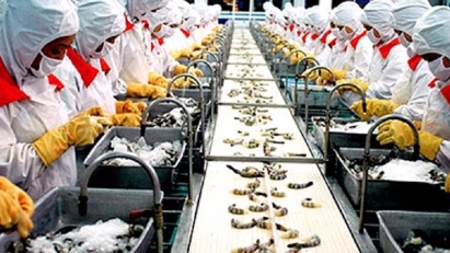 Seafood exports up but logistics issues remain