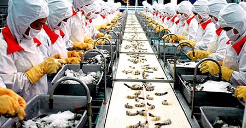 Seafood exports up but logistics issues remain
