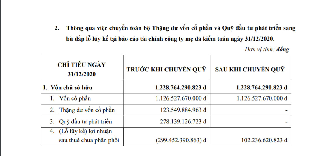Một phần tài liệu họp ĐHĐCĐ của TDH.