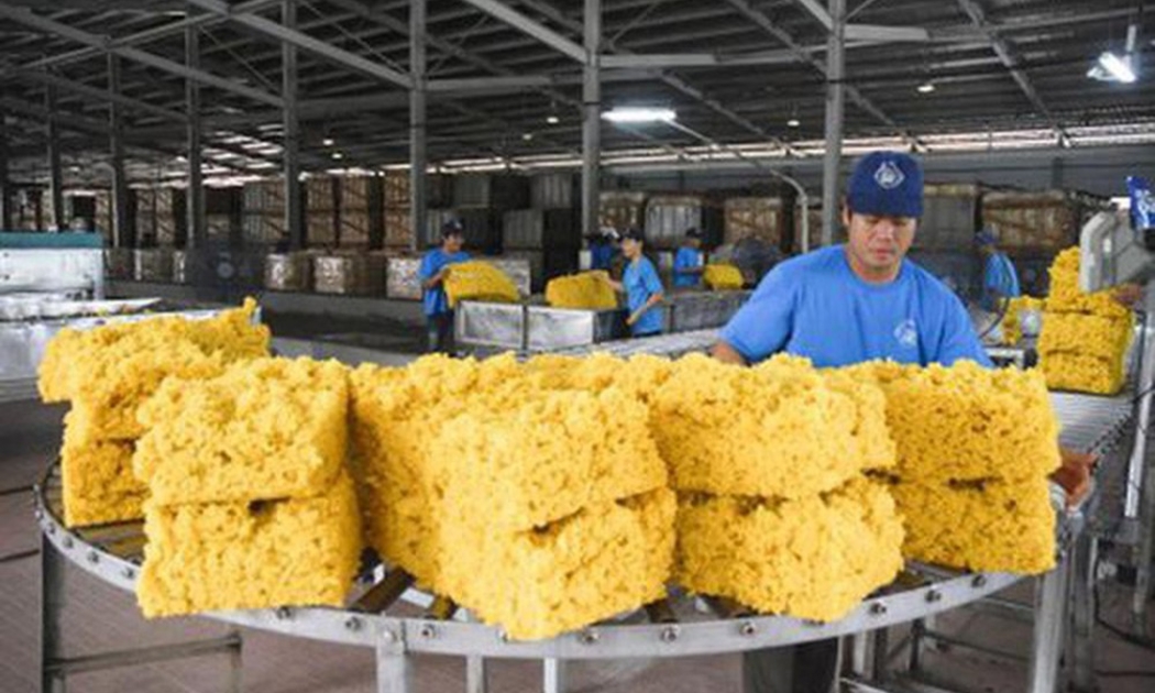 Dự báo nhu cầu nhập khẩu cao su của Nga từ Việt Nam sẽ còn tăng mạnh trong 5 năm tới.
