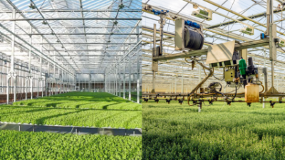 Science & technology a driving force in sustainable agricultural development