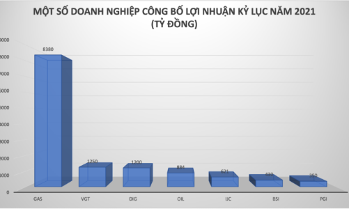 “Chấp” tất cả các biến chủng Covid, nhiều doanh nghiệp công bố lợi nhuận kỷ lục năm 2021 