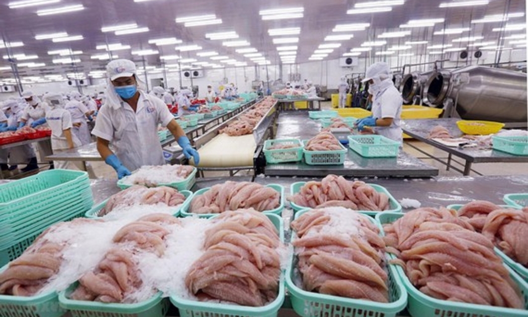 Chế biến thủy sản đang hồi phục sau giãn cách xã hội.