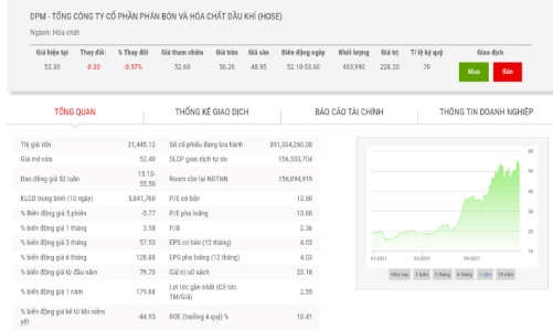 Đạm Phú Mỹ dự kiến lãi sau thuế năm 2022 đạt gần 1.000 tỷ đồng