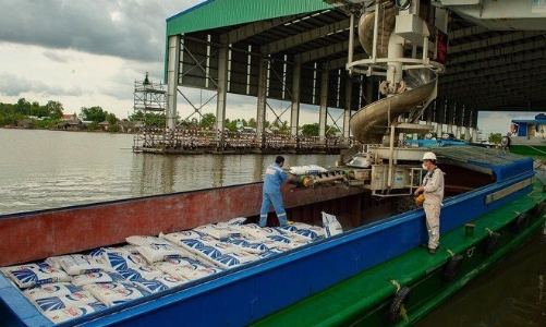 Phân bón cà mau vinh dự đạt Top 10 báo cáo thường niên tốt nhất 2021