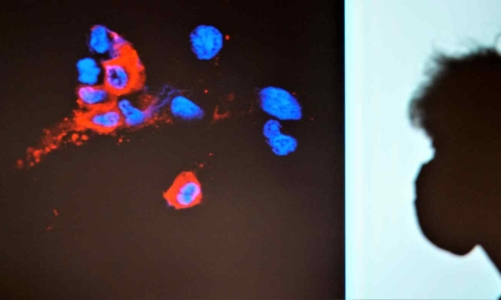 Những cập nhật quan trọng về biến thể Omicron sau một tháng lây lan toàn cầu