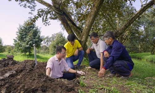 Phân bón Cà Mau: Chủ động nguồn cung đa dạng cho vụ Đông Xuân 2021 - 2022