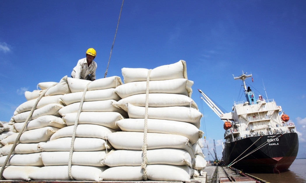 Trị giá thu từ xuất khẩu gạo sang EU tăng mạnh.