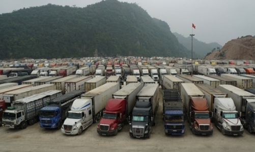 Tiêu thụ nông sản đình trệ: Bộ Nông nghiệp và Phát triển nông thôn hỏa tốc ra công văn khẩn