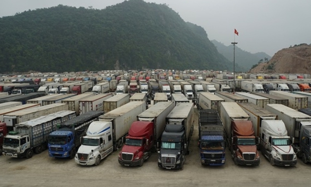 Xuất khẩu nông sản đang gặp nhiều khó khăn.