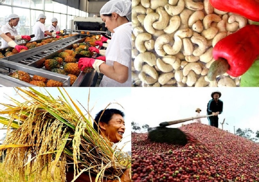 Xuất khẩu nông lâm thủy sản năm 2021 tăng cao kỷ lục.