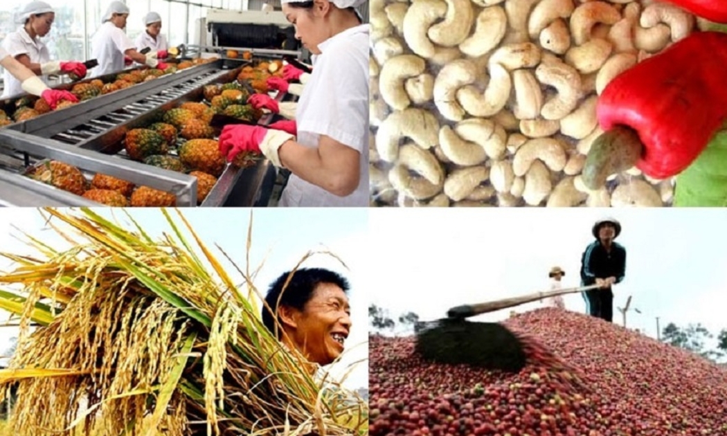 Xuất khẩu nông lâm thủy sản năm 2021 tăng cao kỷ lục.