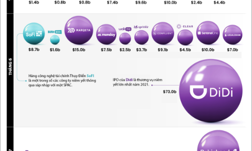 Điểm danh các thương vụ niêm yết tỷ USD trong năm 2021