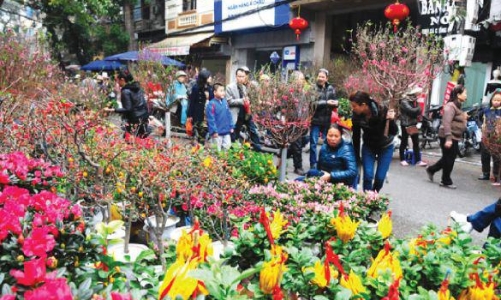 Hà Nội tổ chức 78 điểm chợ hoa Xuân phục vụ Tết Nhâm Dần 2022 