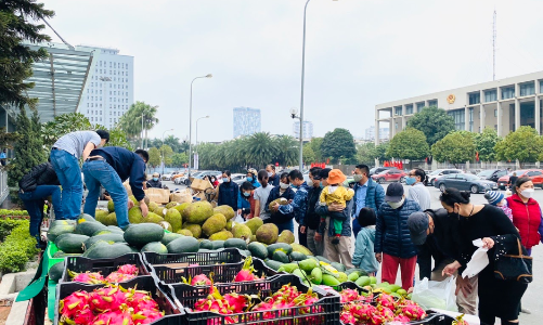 Giải cứu thanh long, bộ Công thương gửi công văn đề nghị Bộ Nông nghiệp và các tỉnh phối hợp