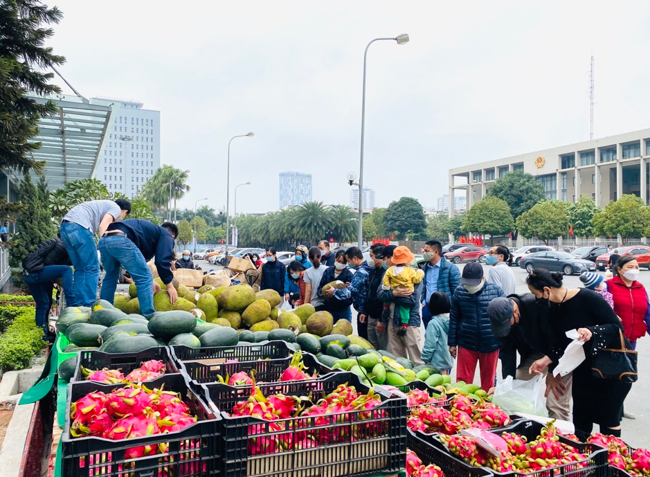 Thanh long "giải cứu" được bày bán vỉa hè