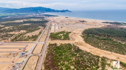 250 land plots in Binh Dinh up for auction