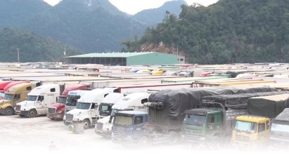 Vietnam - China Trade Facilitation Working Group meets for first time