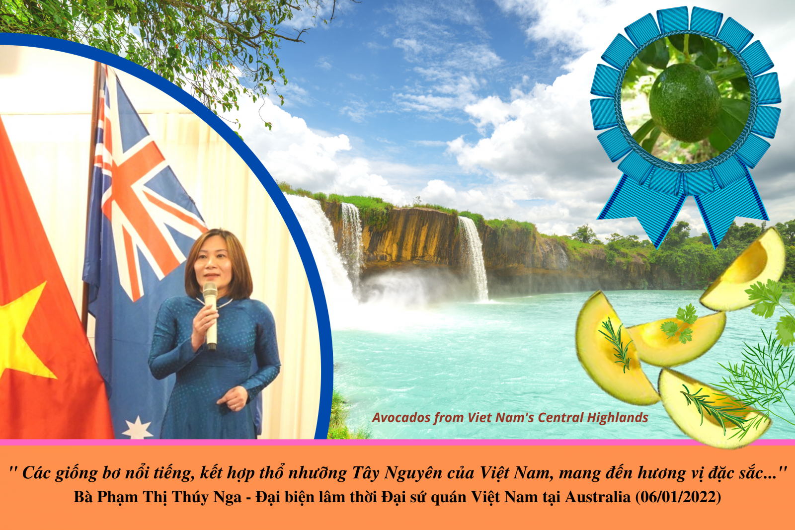 Poster vận động kiều b&agrave;o, hệ thống nh&agrave; h&agrave;ng Việt chung tay ti&ecirc;u thụ, giới thiệu quả bơ Việt Nam tại Australia.