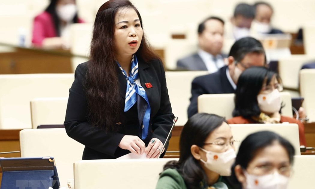 Đại biểu Vũ Thị Lưu Mai – Phó Chủ nhiệm Ủy ban Tài chính - Ngân sách của Quốc hội, đại biểu đoàn TP. Hà Nội - Ảnh: TTXVN