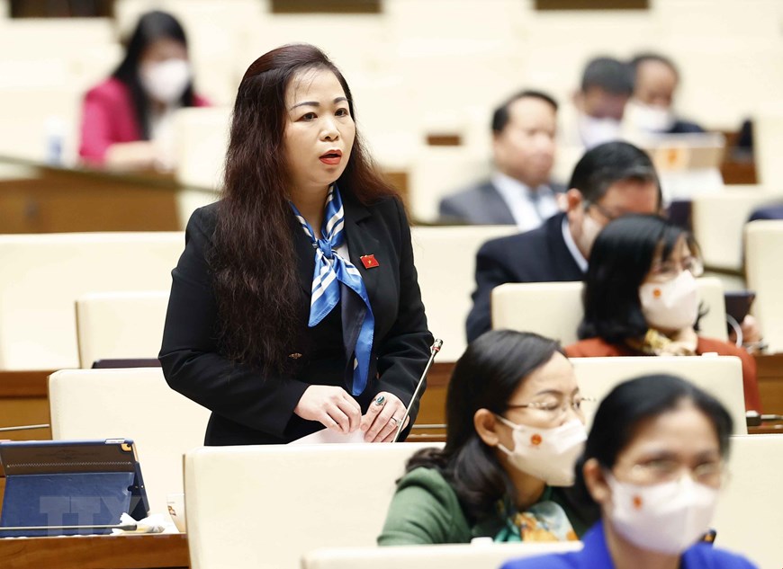 Đại biểu Vũ Thị Lưu Mai – Phó Chủ nhiệm Ủy ban Tài chính - Ngân sách của Quốc hội, đại biểu đoàn TP. Hà Nội - Ảnh: TTXVN