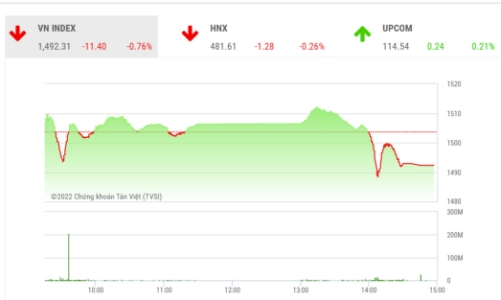 Cơ hội để quay lại nhóm cổ phiếu blue-chips