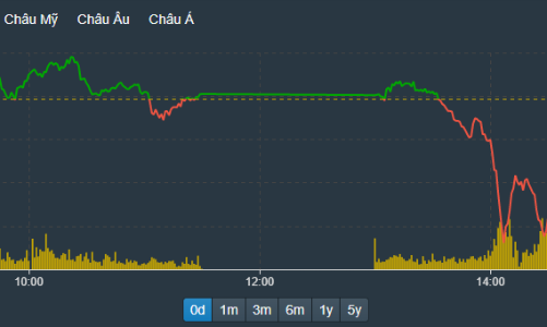 Nhiều cổ đầu cơ đảo chiều tím, VN-Index thủng ngưỡng 1.500