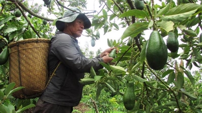 New solutions to be transferred to agriculture sector