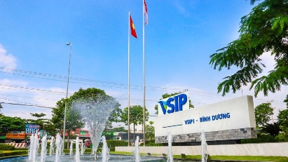 Investment in VSIP III amended