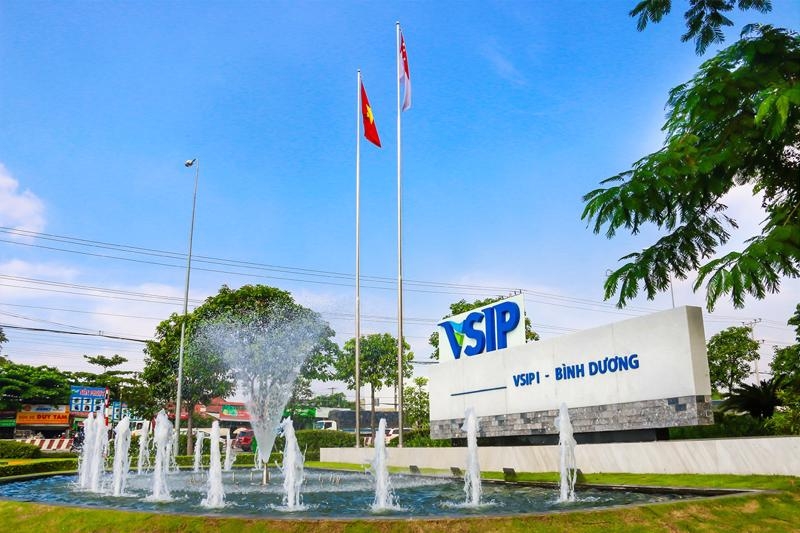 Investment in VSIP III amended